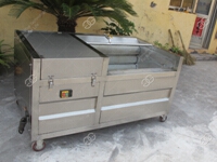 Potato Washing Peeling Machine
